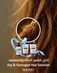مجموعة العناية بالشعر الجاف والمتقصف