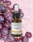 RESVERATROL + VITIS VINIFERA STEAM CELL